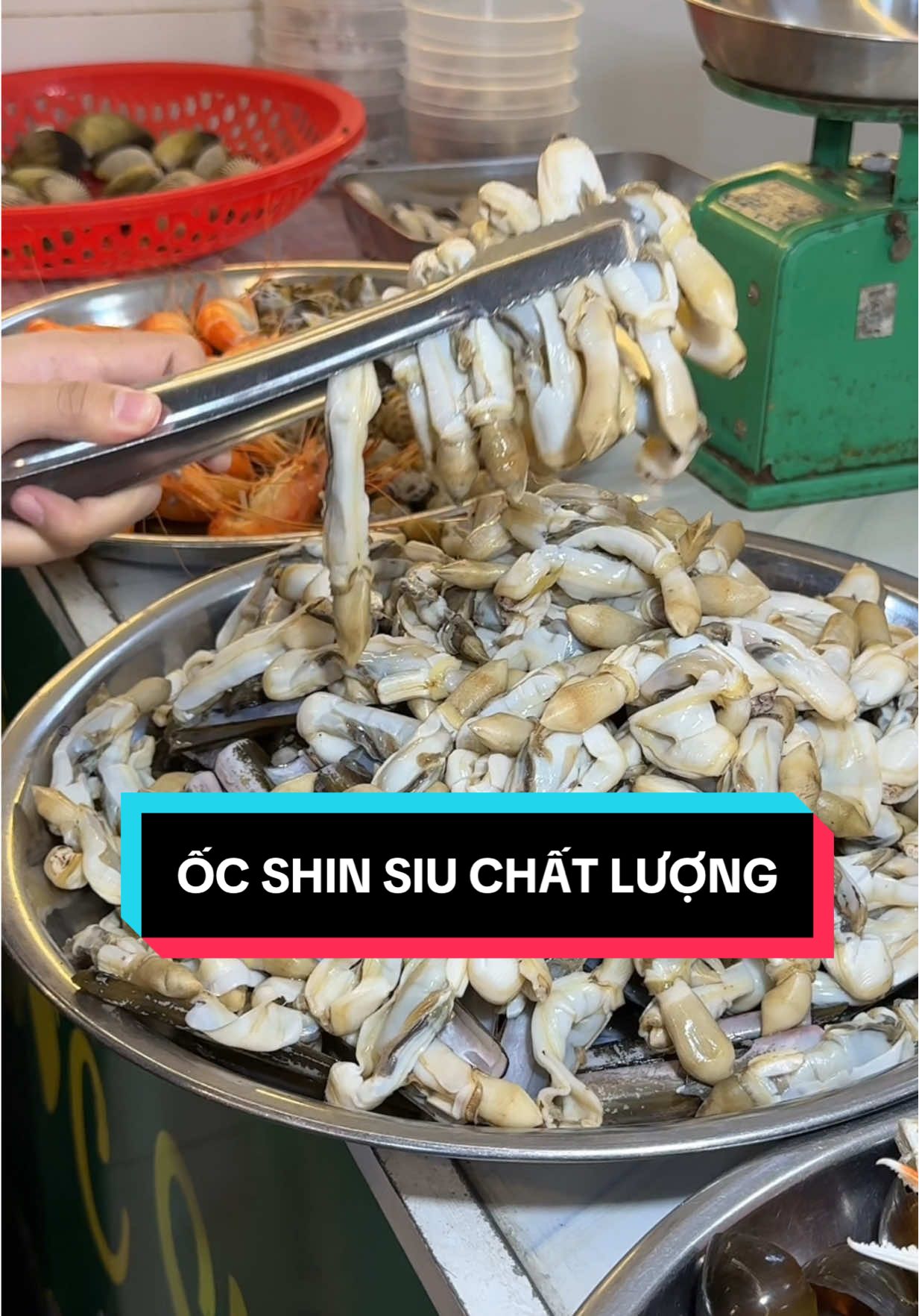 Quán ốc này nó dính cứng ngắt luôn anh chủ bỏ bùa hả gì z tr 🥹🥹🥹@PHÚ TÙNG (ỐC SHIN) #cantho65 #vythichreview #ancungtiktok♥️ #foodreview #xuhuong 