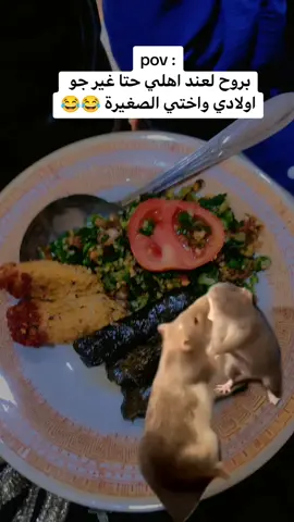 😂😂#ضحك #الشعب_الصيني_ماله_حل😂🤣اكسبلور #fyp #اكسبلور #لايك 