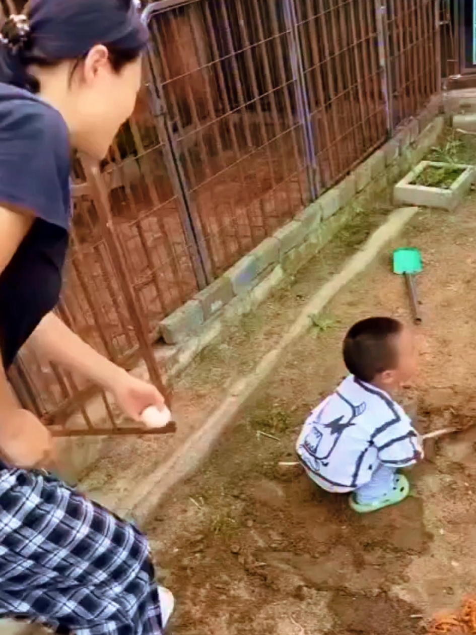 usa best funny video 😅😅 #funnyvideos😂 #funnyy #viral #foryoupage    #creatorsearchinsights 