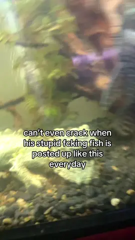 god save me #fish #alt #crack @★Toby ★ 