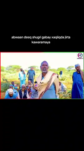 #foryoupage #dhagaxbuur@fidhin 1 @cabdi kaafi c, g,✍️🖊 