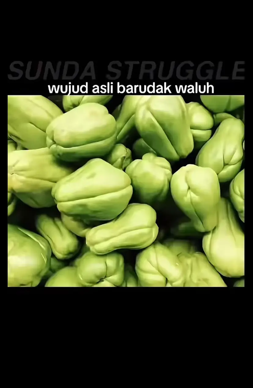 moal baleg achhh @sunda struggle #nyunda #barudakwaluh 