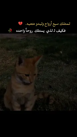 #عبارتكم #😔🥀💔 