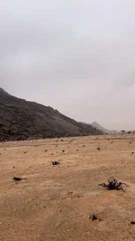 #اكسبلورexplore 