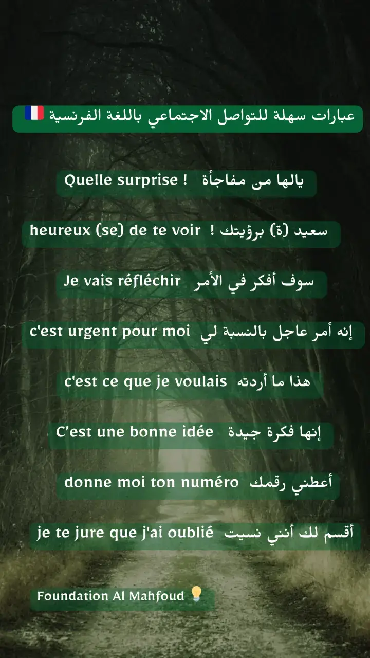 تعلم اللغة الفرنسية بسرعة وسهولة 🇨🇵#تعلم #اكسبلور #اللغات #الفرنسية #الفرنسية_بطلاقة #الفرنسية_للمبتدئين #تعلم_على_التيك_توك