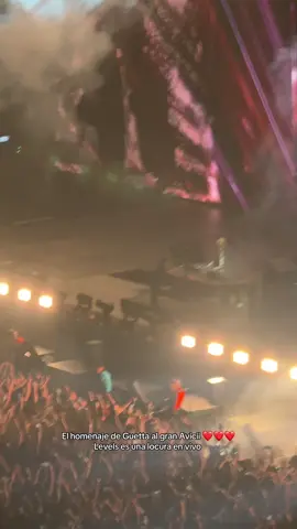 Levels cover de Guetta al gran Avicii #davidguetta #avicii #levels 