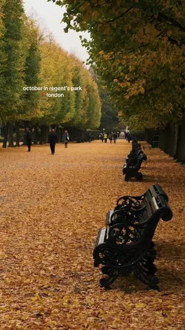 Autumn strolls are the best kind of therapy  #autumnvibes #autumninlondon #londonlife #foryoupage #londontiktok 