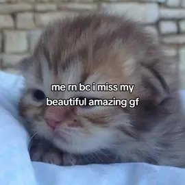 more than you know #Capcut #4u #ilovemygf #Love #relatable 