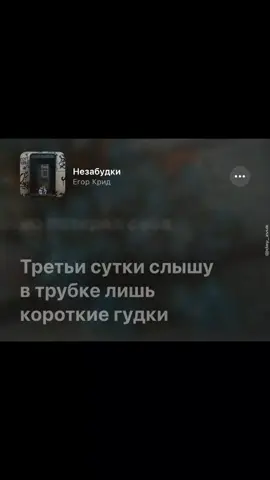 #незабудки #dwts  #10millionviews   #9k #buffet  @ТОПОВАЯ МУЗЫКА 🔥💗 