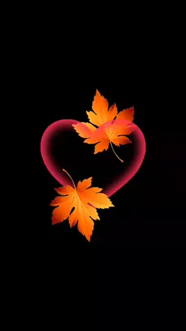 Кучо Дони!🥹❤️‍🩹