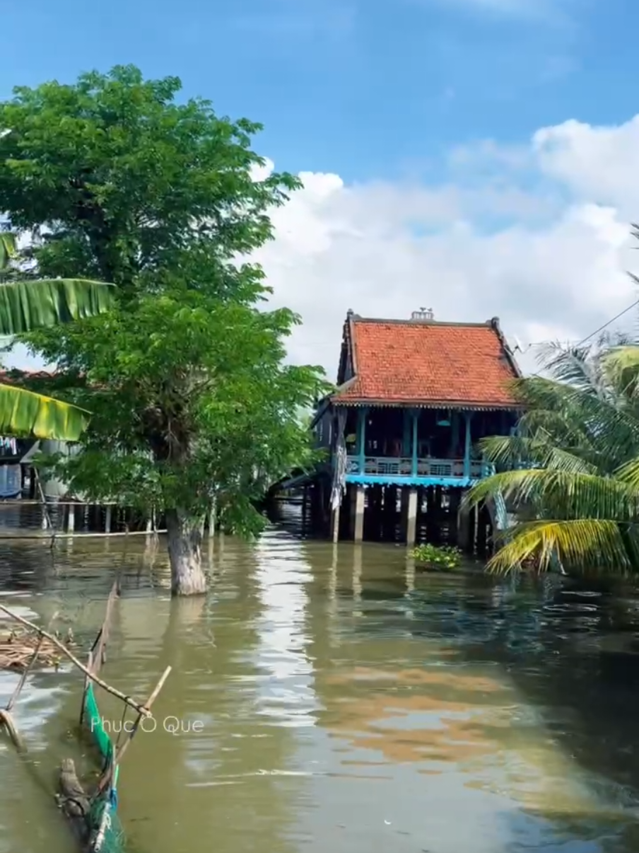 Mực nước lũ năm 2025 