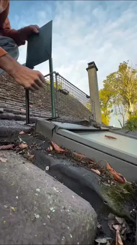 #michaelbay #fyp #trending 