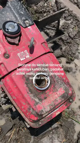 Bantuan datang#jeksoromase #xybca #fypシ゚ #petaniindonesia🇮🇩🇮🇩🇮🇩🌿🌿 