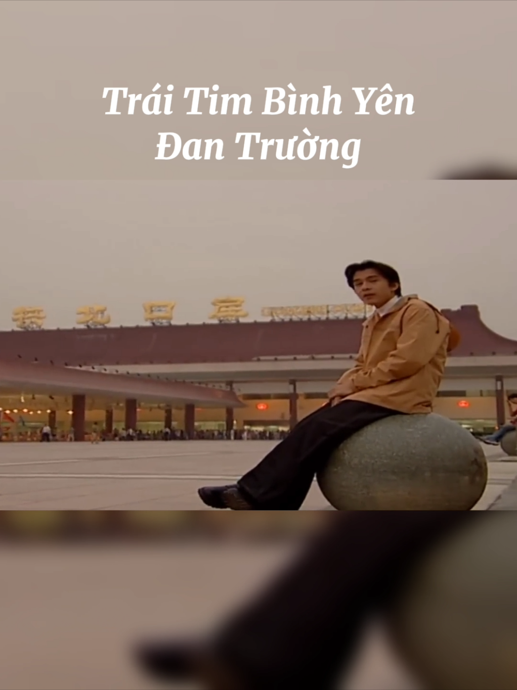 Trái Tim Bình Yên - Đan Trường #dantruong #traitimbinhyen #nhachay8x9x 