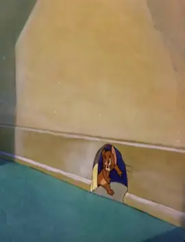 #الشعب_الصيني_ماله_حل😂😂😂 #كرتون #tomandjerry #نتورك_كرتون #mbc3 