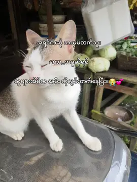 #foryou #tiktokviral #viewsproblem #viraltikt #foryoupage 