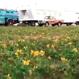 تبري كل عله