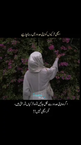 yeah 👀 every girl should have boundaries 💗...#asthetic #aesthetic #darkbeauty #islamic_video #girls #deartiktokteamdontunderviewmyvideos #fyp #foryou #fyppppppppppppppppppppppp #grow 