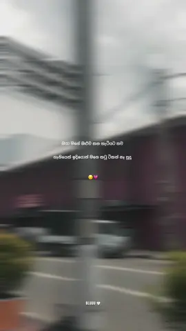 @ කරලා කියන්න 😊💗!