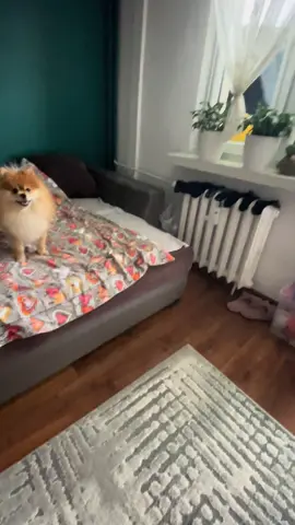 @kupadupa @ℋ𝒶𝓃𝒾𝒶🦈 