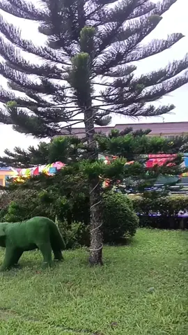 #myfamily#familybonding #special day