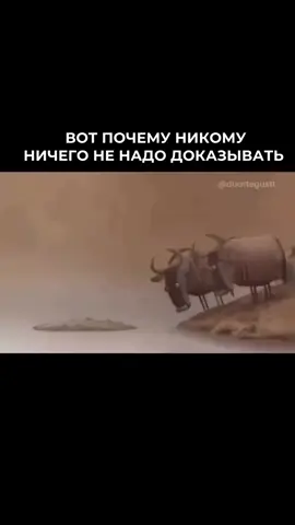 🔕😉