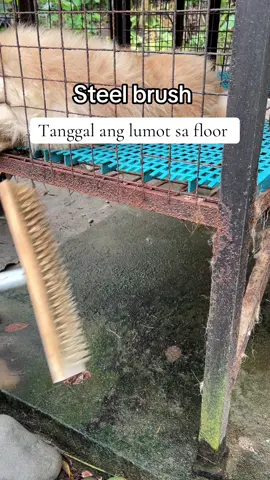 Steel brush para sa mga sahig nyo na nilulumot na napaka dali lang nyan tanggalin kapag eto ang gamit nyo #steelbrush #fyp #brush 
