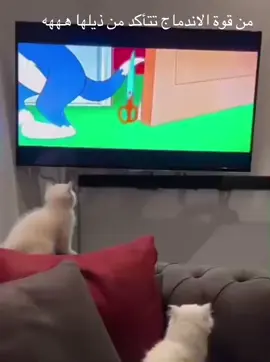 #كرتون_زمان 