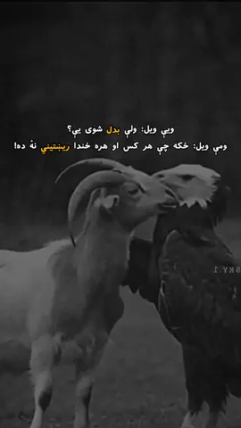 ریښتیني مینه او خلک بیا نشته 🖤🥲 #foryoupage❤️❤️ #fyp #fyppppppppppppppppppppppp #viral #afghanistan🇦🇫 