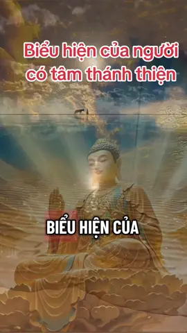 Biểu hiện của người có tâm thánh thiện #phatgiao #thichthanhvuong #loiphatday 
