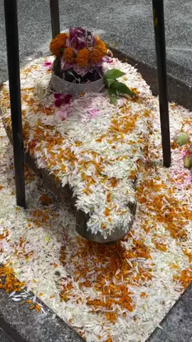 হর হর #মহাদেব #?🩏?❤️🥀☺️ @💫দীপা💫