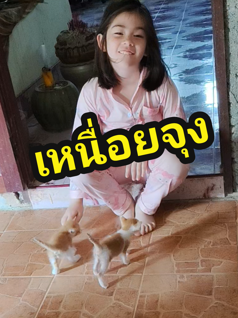 ขอพลังบวกหน่อยสิ#ขอบคุณทุกกําลังใจ❤️ขอบคุณทุกคอมเม้น🙏 #ลิเซีย #ทาสแมว 