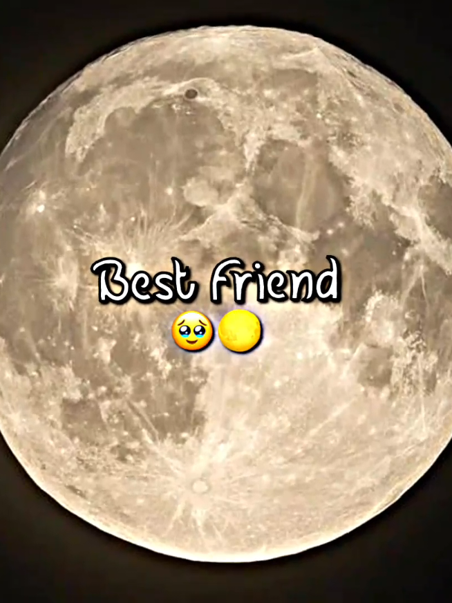 Best friend 🥹🌕🌸🫀👀#creatorsearchinsights #alightmotion #foryou❤️ 