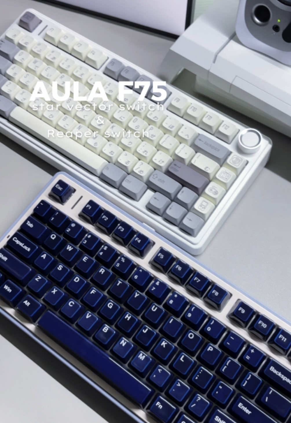 ASMR Keyboard AULA F75 (star vector switch + Reaper switch) #aula #aulaf75 #keyboard #keyboardasmr #gamingkeyboard 