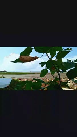 আমার নষ্ট হয়ে যাওয়া চেহারা দেইখা আফসোস কইরো না....!!😅❤️‍🩹@TikTok Bangladesh @☆_♡সেলফী-⚡-শাওন♡_☆ @🧸𝐓𝐞𝐦𝐩𝐥𝐚𝐭𝐞 ওয়ালা🎟️  #capcut #rafi #viralvideo #ti̇ktok 