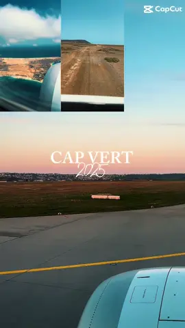 🏝️