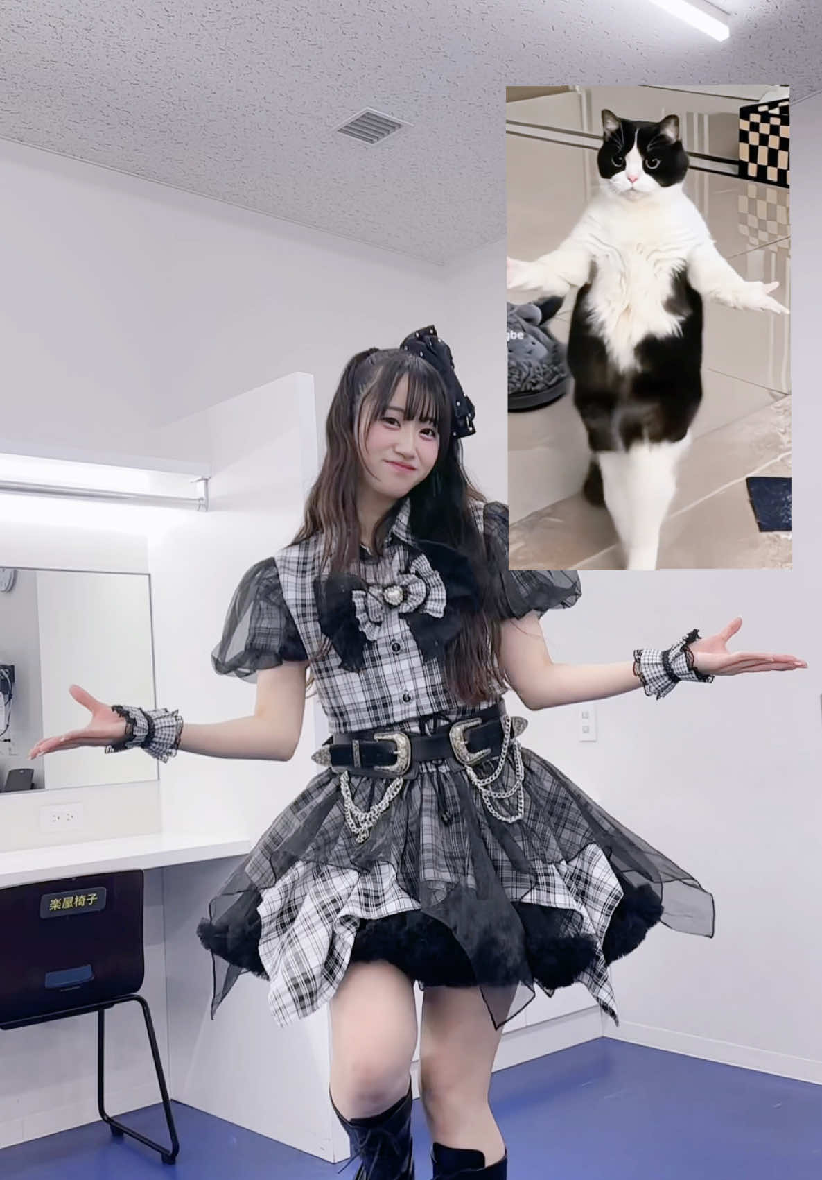 こうなったらAI猫でバズりたい🐱#アイドル #猫ミーム #猫ダンス #catdance #catmeme 
