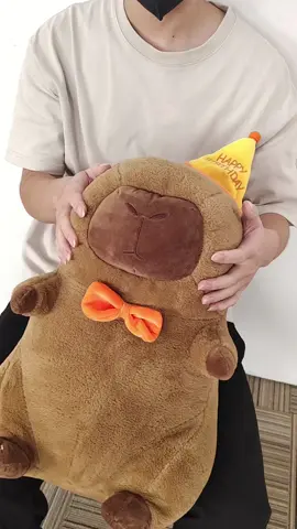 #foryou #pillows #tiktok #capybara 