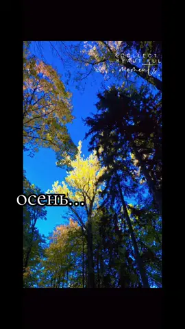 #осень 