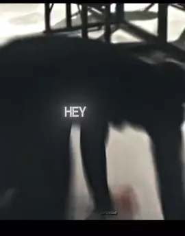 #thevampirediariesedit #tvd😻 #vapirediaresforever #thevampirediariespost #iansomerhandler 