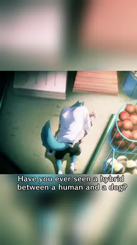 Have you ever a human and a dog get together ?#animeexplanation #twodimensional 