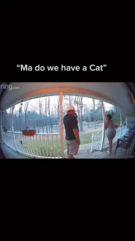 Why must I feel like that? Why must I kill de cat?!?!?