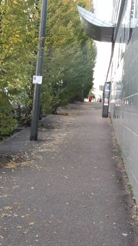 #universtogo🇹🇬🇹🇬🇹🇬🙌 #ouidahplage😅👍🏽👍🏽👍🏽 