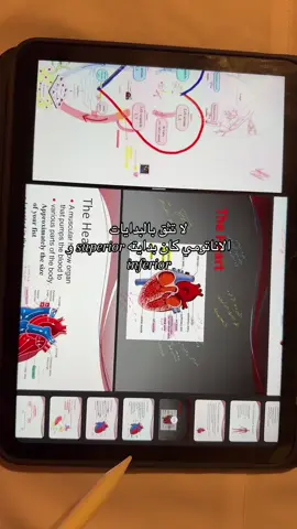 دعواتكم اختباري بكرا 😞 #اناتومي #تمريض💉💊 #تمريض #جامعة #جدة 