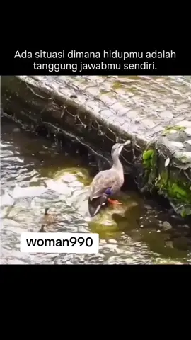 😌😌