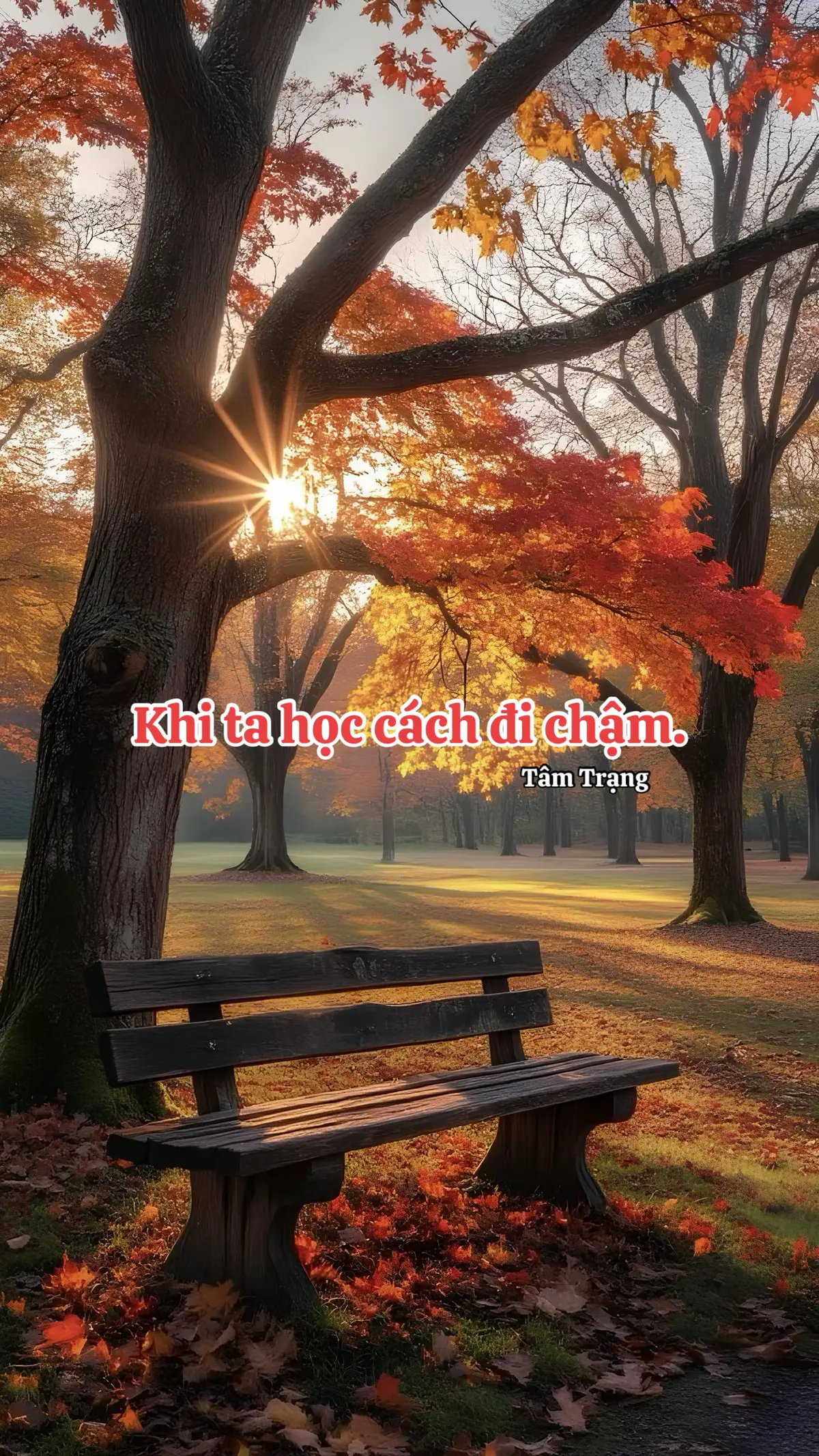 Ở cái tuổi lưng chừng, người ta chẳng còn vội vã như xưa. Đi qua nửa đời người, ta nhận ra chẳng có hạnh phúc nào là trọn vẹn, cũng chẳng có nỗi đau nào là mãi mãi. Mọi thứ rồi cũng nhạt dần, chỉ còn lại lòng mình — tĩnh hay động, bình yên hay bão tố — là do cách ta đối diện. Tuổi lưng chừng dạy ta biết buông. Buông những người đã không còn cùng hướng, buông những điều khiến ta tổn thương, và buông cả những kỳ vọng không còn phù hợp với thực tại. Không phải vì ta yếu mềm, mà vì ta hiểu: nắm chặt mãi một điều đôi khi chỉ khiến tim mình thêm đau. Giữa thế giới xô bồ này, ta chọn sống lặng hơn. Không ồn ào, không phô trương, không cần chứng minh điều gì. Ta chỉ cần một chút an yên, một góc nhỏ cho riêng mình, nơi có tiếng cười thân quen, có ánh sáng dịu dàng len qua khung cửa sổ, và có trái tim vẫn đủ ấm để yêu thương. Tuổi lưng chừng không khiến ta khô cạn cảm xúc, mà khiến ta biết yêu một cách chậm rãi, sống một cách giản đơn, và tha thứ một cách nhẹ lòng. Vì đến cuối cùng, đời người ngắn ngủi lắm — chỉ cần lòng mình an, là đủ. 🍀🍀🍀 #tamtrang0688 #content #xuhuongtiktok #fyp #foryou 