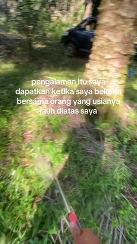 Matursuwun wong wong baik🙏🏽 Panjang umur sehat selalu, limpah Rezeki🌻 #kuli #sawit #foryoupage #fyppppppppppppppppppppppp 