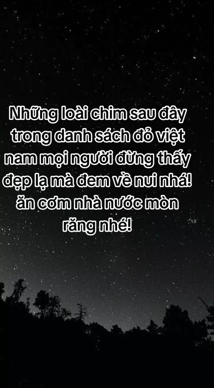 Những loại chim  sách đỏ Việt Nam quý hiếm🐦 ae cẩn thận rước hoạ vào thân nhé😆 #chimcanhvietnam #chaomao #hoithichim #xuhuongtiktok 