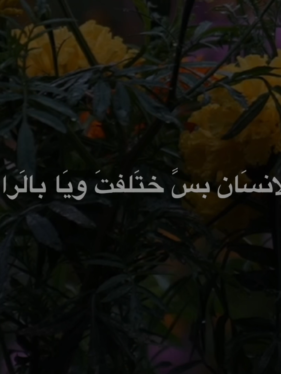 الانسَان بسَ ختلفتَ ويَا بألرايَ #الشيخ_احمد_الوائلي  #اكسبلورexplore 