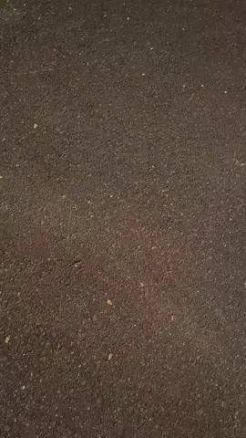 ماشية الغنية مع الازيرات  ربي يبارك #ليبيا🇱🇾 #ازيرا_2009✈️🔥 #اذكروا_الله #مشالله_تبارك_الله #المنطقة_الحرة 